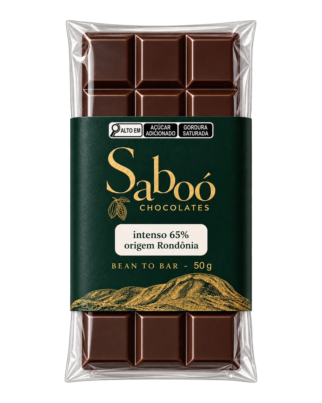 Chocolate Intenso 65% Origem Rondônia 50g